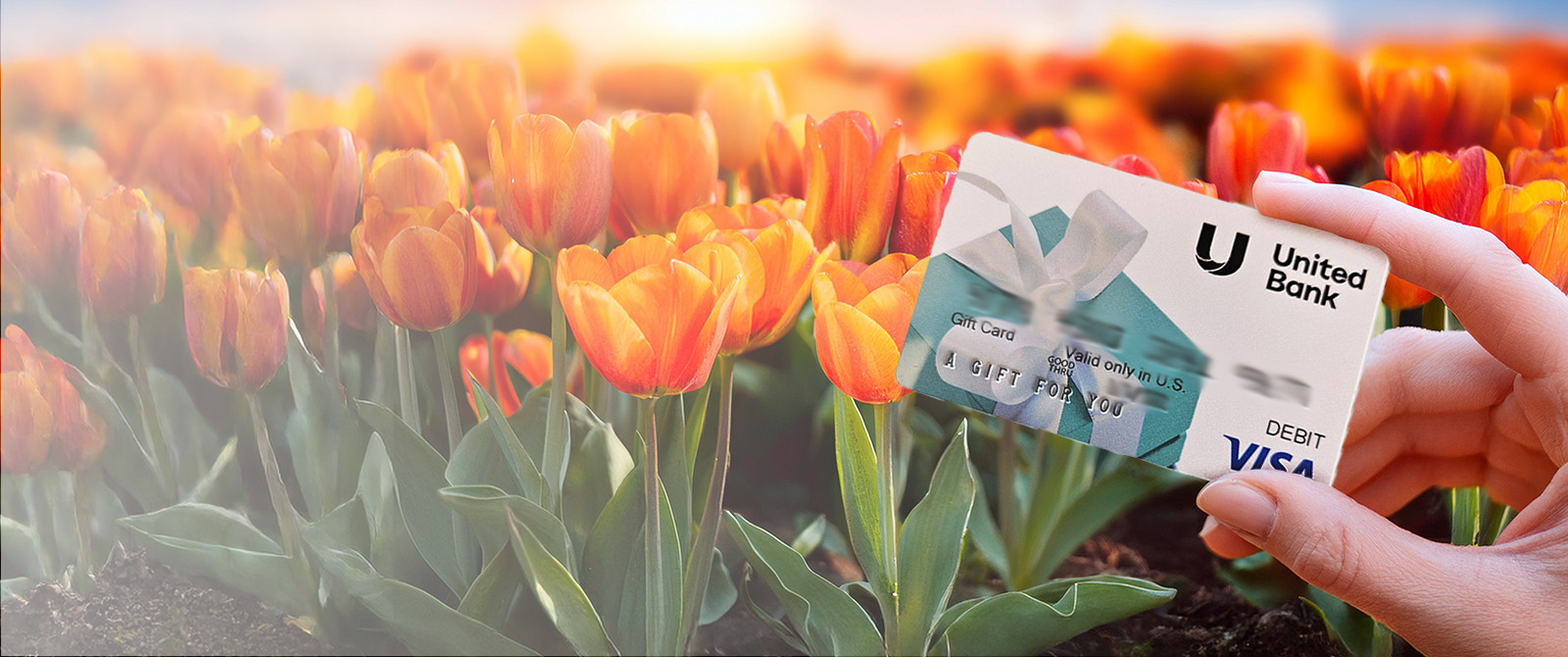 visa gift card